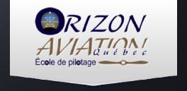 logo Orizon Aviation